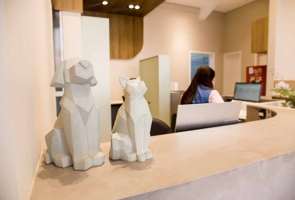 Ambiente interno do Hospital Veterinário Cão e Gato